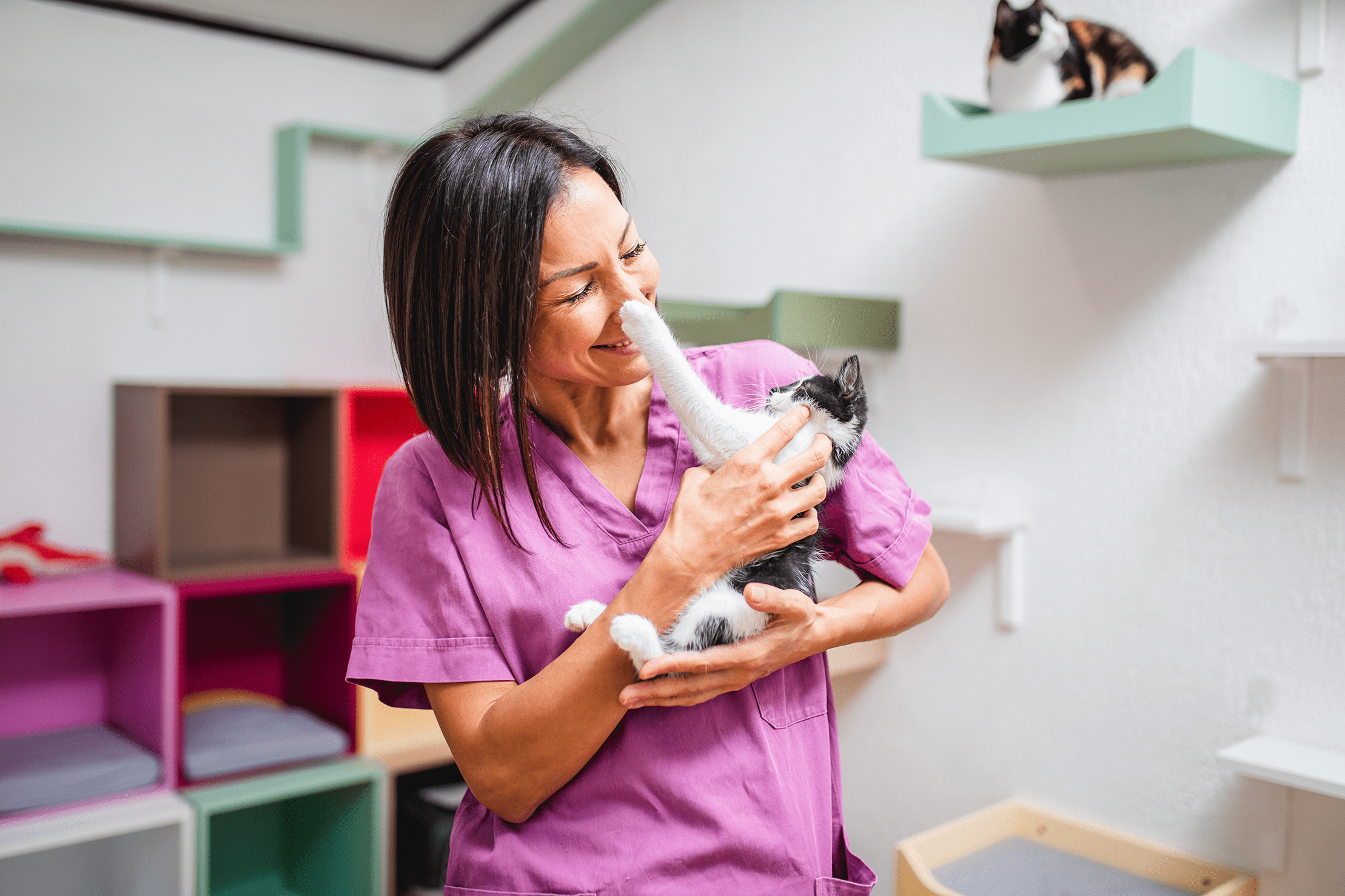 animal care