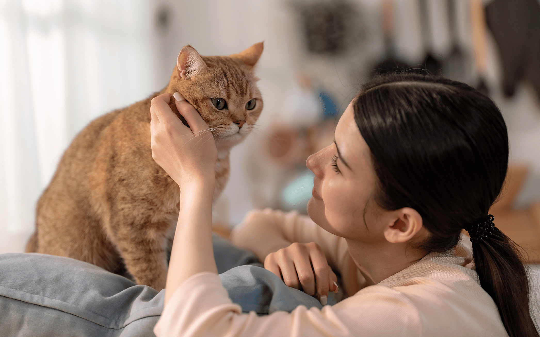 petfinder rehomimg