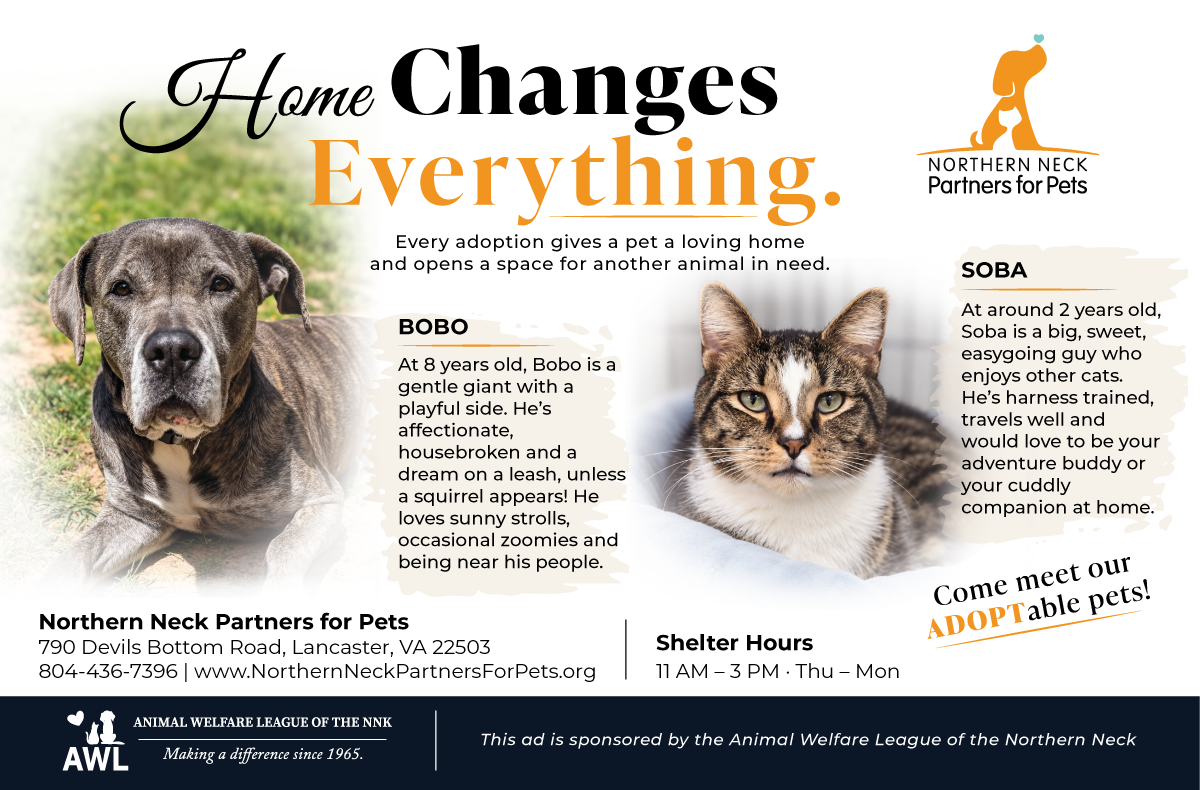 -NNPP Adoption Spotlight Ad
